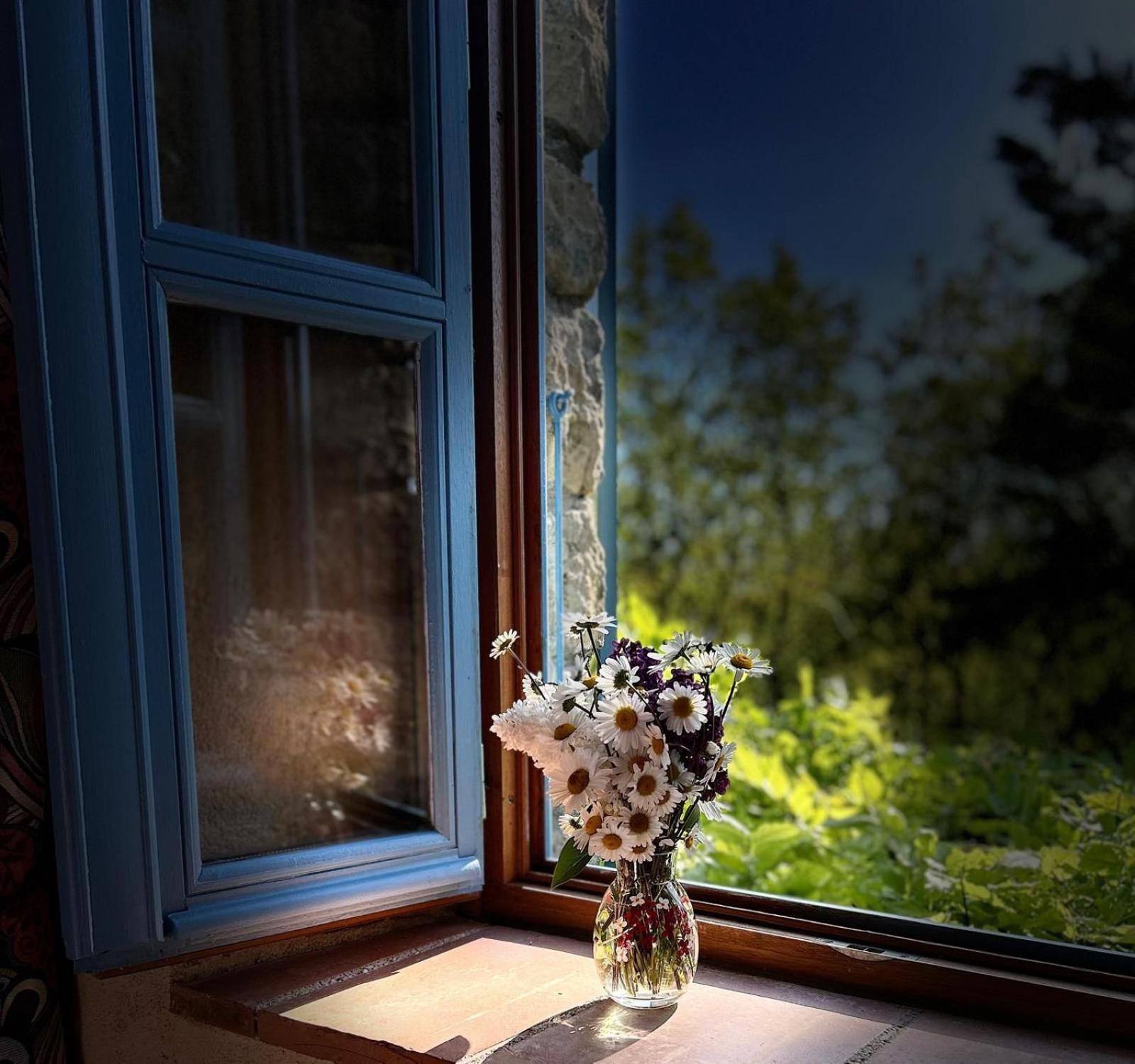 Le Clos Pastel Chambres D'Hotes & Gite Virac Eksteriør billede